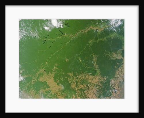 Deforestation in the Amazon Basin, Brazil by Anonymous