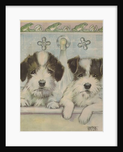 Two sad puppies having a bath by Anonymous