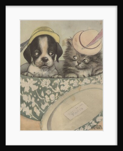 Puppy and kitten in hat box wearing hat by Anonymous