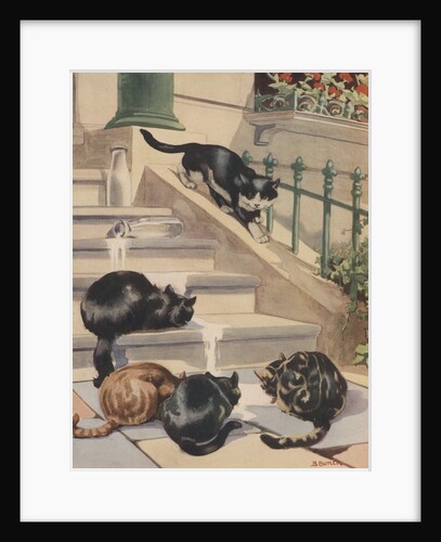 Four cats drinking milk from spilled bottle on stoop by Anonymous