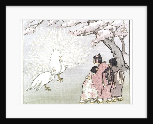 White Peacock by Helen Hyde