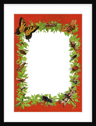 Boder illustration with butterflies, bees and other insects by Anonymous