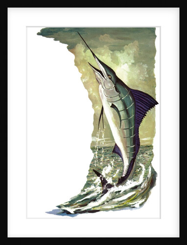 Leaping striped marlin by Anonymous