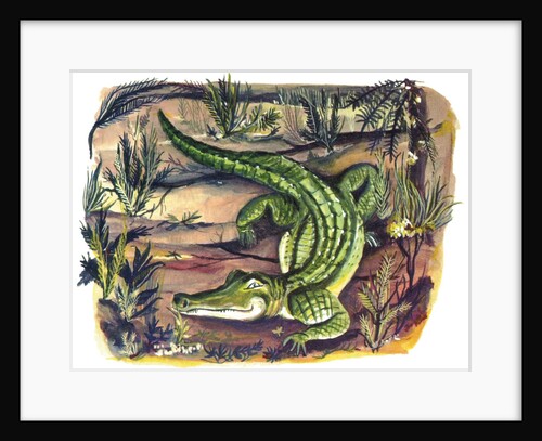 Crocodile in its natural habitat by Anonymous