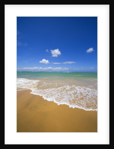 Gentle waves breaking on the north shore of Maui by Anonymous
