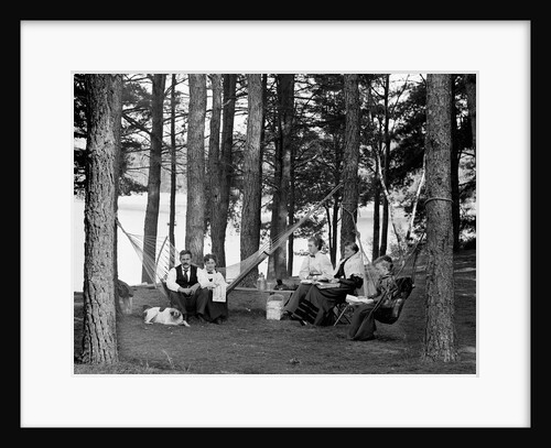 The family has picnic among the pines, ca. 1900. by Anonymous