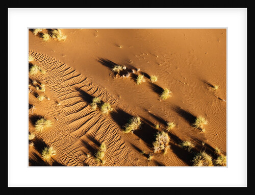 Aerial view, Namib Desert, Namibia. by Anonymous
