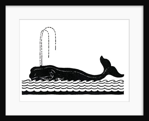 Whale spouting by Anonymous