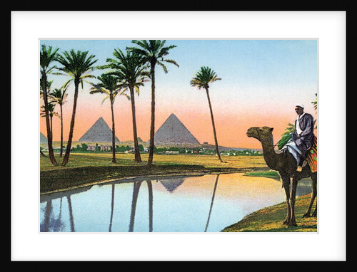 Man on a camel viewing the Pyramids of Giza by Anonymous