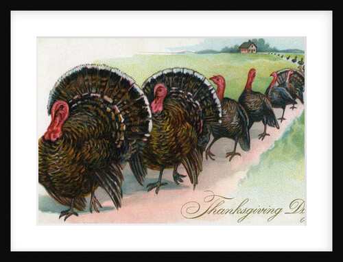 Thanksgiving turkeys marching in line by Anonymous