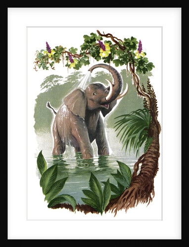 Elephant spraying itself with water by Anonymous