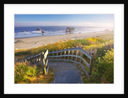 Morning light adds beauty to wildflowers and fog covered rock formations at Bandon State Park, Orego by Anonymous