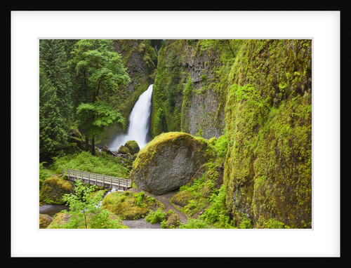 Tanner Creek Falls, Columbia River Gorge National Scenic Ates, Oregon by Anonymous