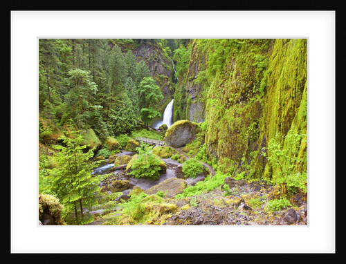 Tanner Creek Falls, Columbia River Gorge National Scenic Ates, Oregon by Anonymous