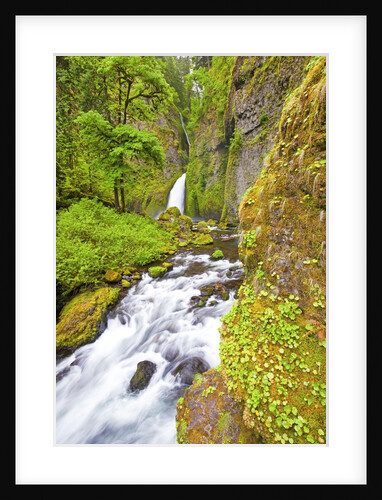 Tanner Creek Falls, Columbia River Gorge National Scenic Ates, Oregon by Anonymous