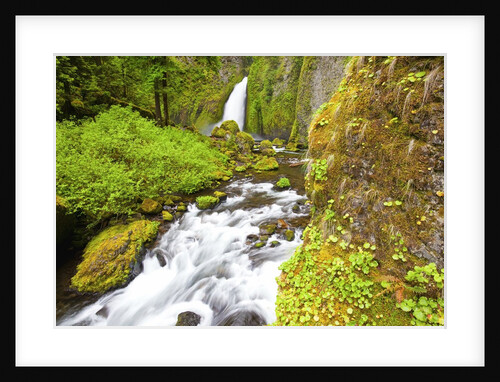 Tanner Creek Falls, Columbia River Gorge National Scenic Ates, Oregon by Anonymous