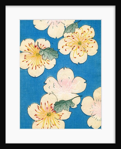 Woodblock print of dogwood blossoms by Anonymous