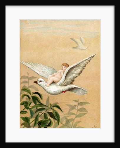 Fairy riding a white dove by Anonymous