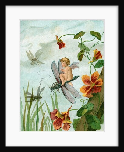 Winged fairy riding a dragonfly near nasturtium blooms by Anonymous