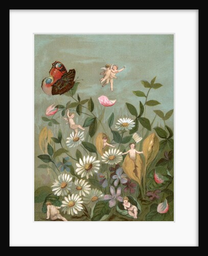 Fairies frollicking among daisies and a butterfly by Anonymous