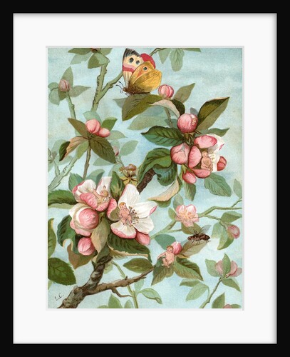 Fairies hiding in rose blossoms by Anonymous