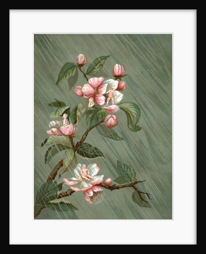 Fairies hiding in rose blossoms in the rain by Anonymous