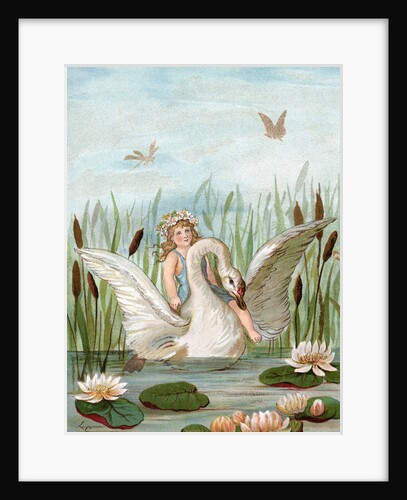 Fairy riding a white swan in a marsh by Anonymous