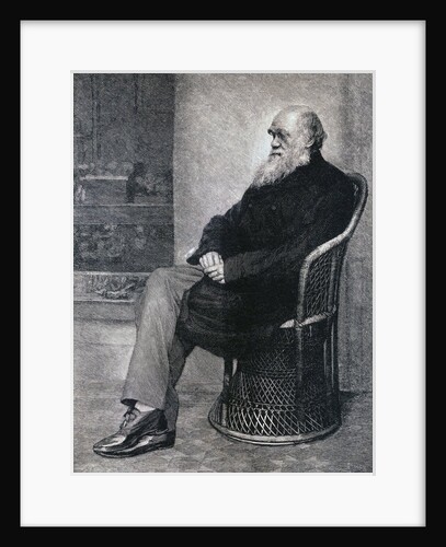 Portrait of Charles Darwin by Anonymous
