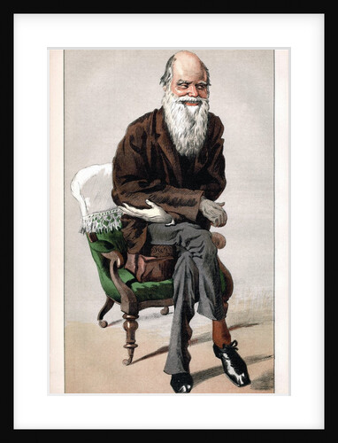 Portrait of Charles Darwin by Anonymous