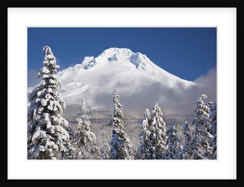 winter snow adds beauty to Mt. Hood, Oregon. Oregon Cascades. by Anonymous