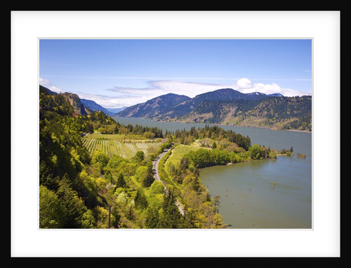 view point looking west down Columbia River Gorge from Ruthton Park. Hood River, Oregon, Columbia Ri by Anonymous