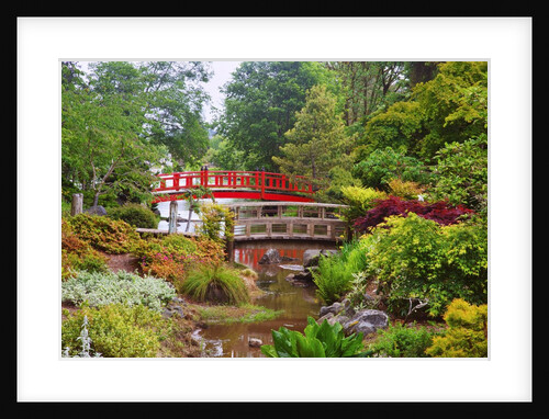 spring time at Mingus Park, Coos Bay, South Oregon Coast, Pacific Northwest. by Anonymous