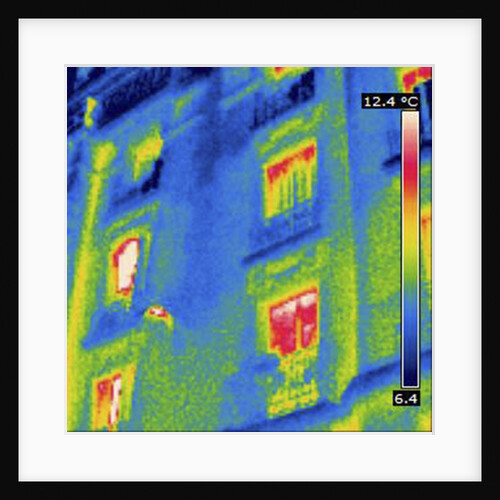 Thermogram by Anonymous