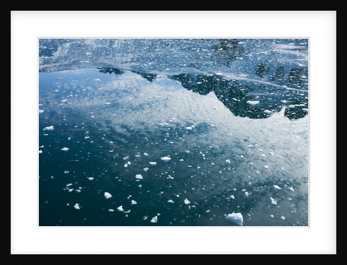 Arctic Ice, Svalbard by Anonymous