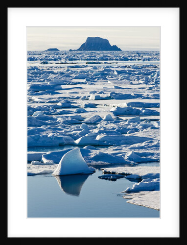 Arctic Sea Ice, Svalbard by Anonymous