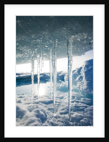 Arctic Ice, Svalbard by Anonymous
