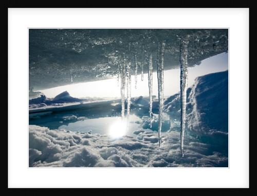 Arctic Ice, Svalbard by Anonymous