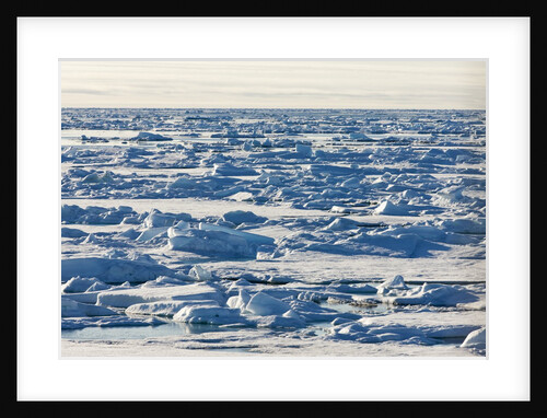 Arctic Ice, Svalbard by Anonymous