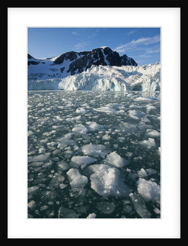 Calving Arctic Glacier, Svalbard by Anonymous
