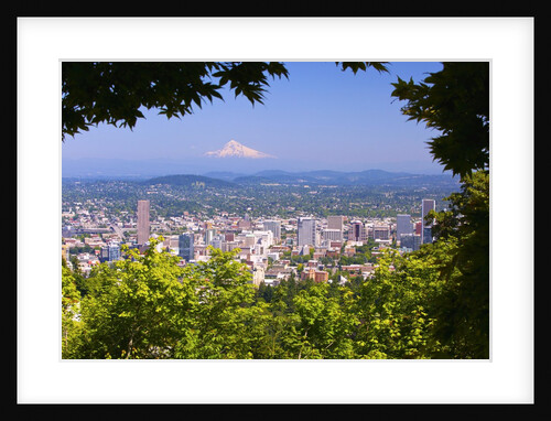Mt.Hood from Pittock Mansion. Portland Oregon. Pacific Northwest. by Anonymous