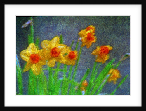 Yellow flowers by Anonymous