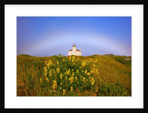 Morning light and fog make a fogbow over Coquille River Lighthouse, Bandon, Oregon Coast, Pacific Oc by Anonymous