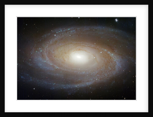 M81 Spiral Galaxy by Anonymous