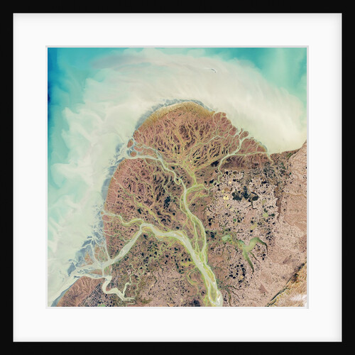 Yukon River Delta, Alaska by Anonymous