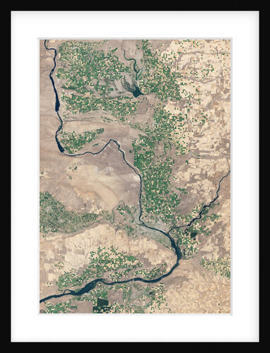 Irrigated farmlands in eastern Washington state, USA by Anonymous