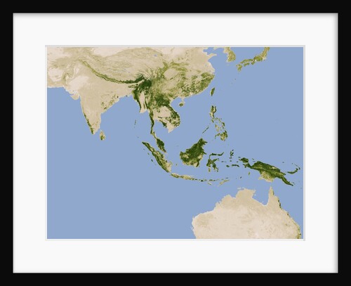 Carbon Stored in Tree Biomass in Tropical Asia by Anonymous