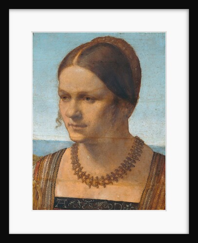 Portrait of a Young Venetian Lady by Albrecht Dürer
