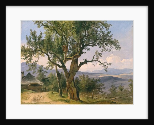 The Old Tree by Friedrich Gauermann