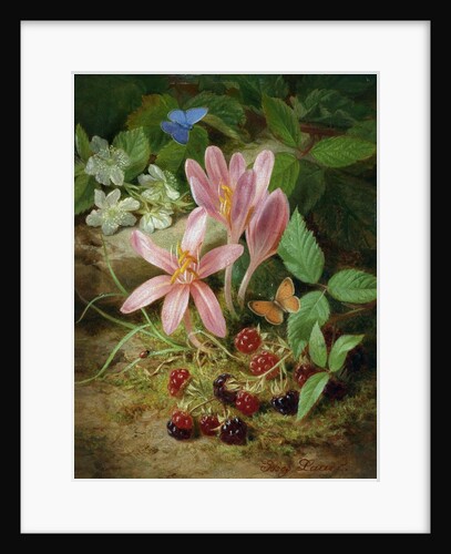 Autumn Flower with Blackberries by Josef Lauer