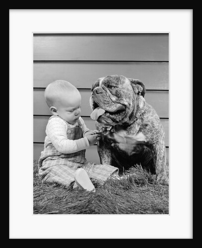 1950s 1960s baby sitting playing with bulldog studio by Anonymous